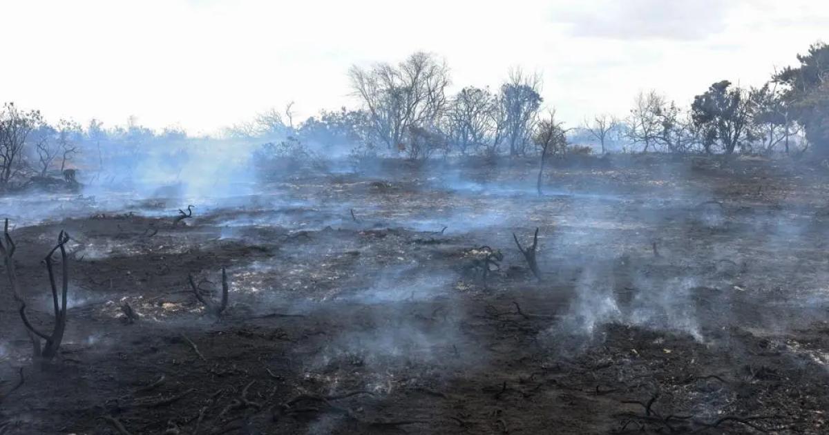 'Challenging weather conditions' saw more isolated fires at major Suffolk wildfire
