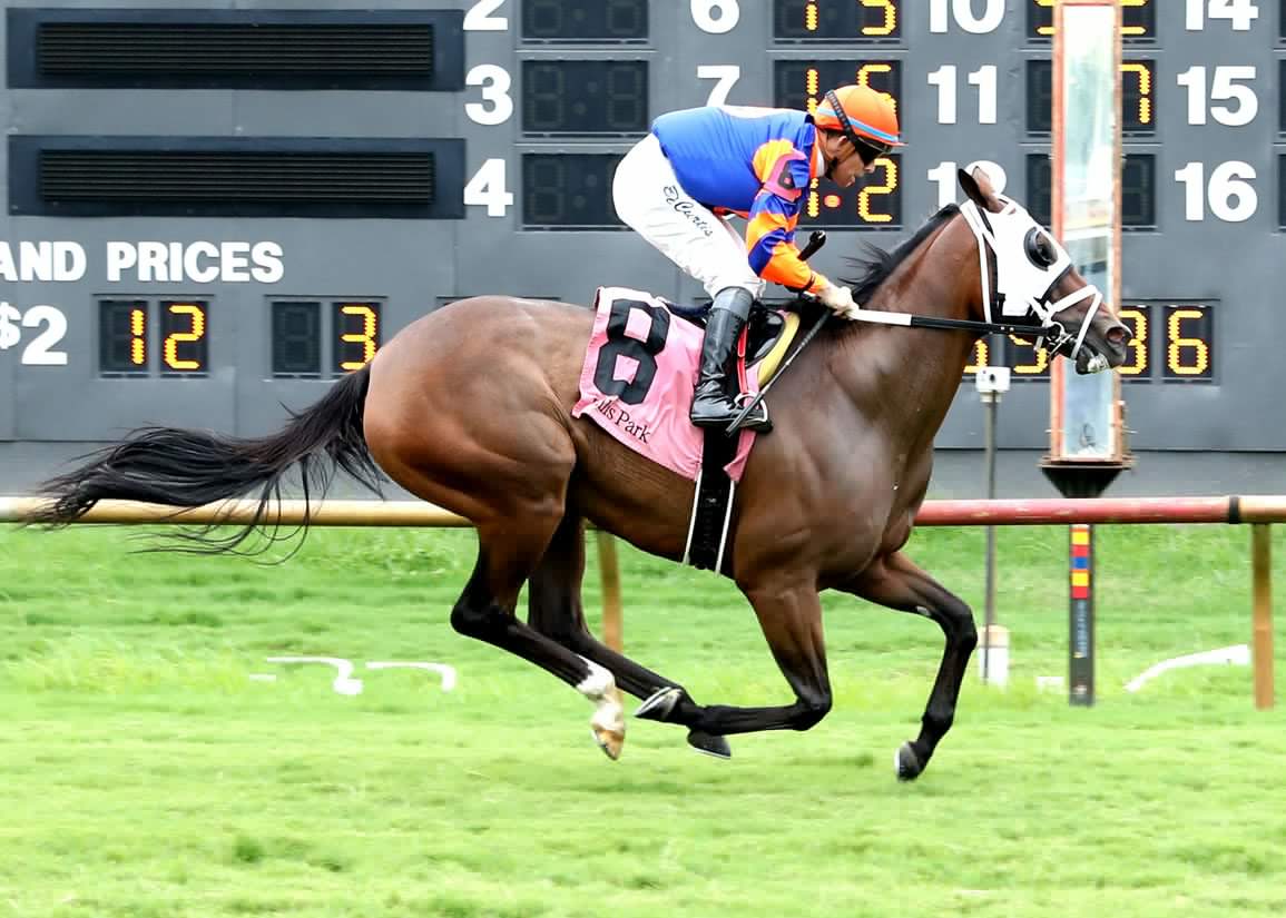 Six Swift Fillies For The Week of July 27-Aug. 3, 2026