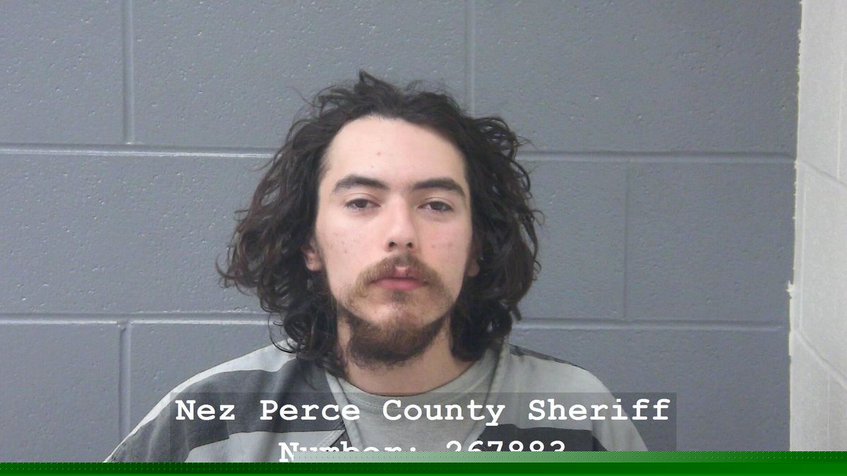 Lewiston man pleads guilty to false bomb report
