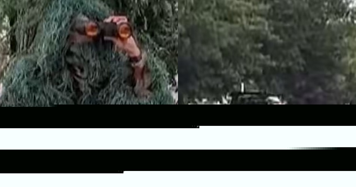Ο «αστυνομικός-θάμνος» του Νιού Τζέρσεϊ: Η αόρατη παγίδα που «έγραψε» 70 οδηγούς σε 6 ώρες (video)