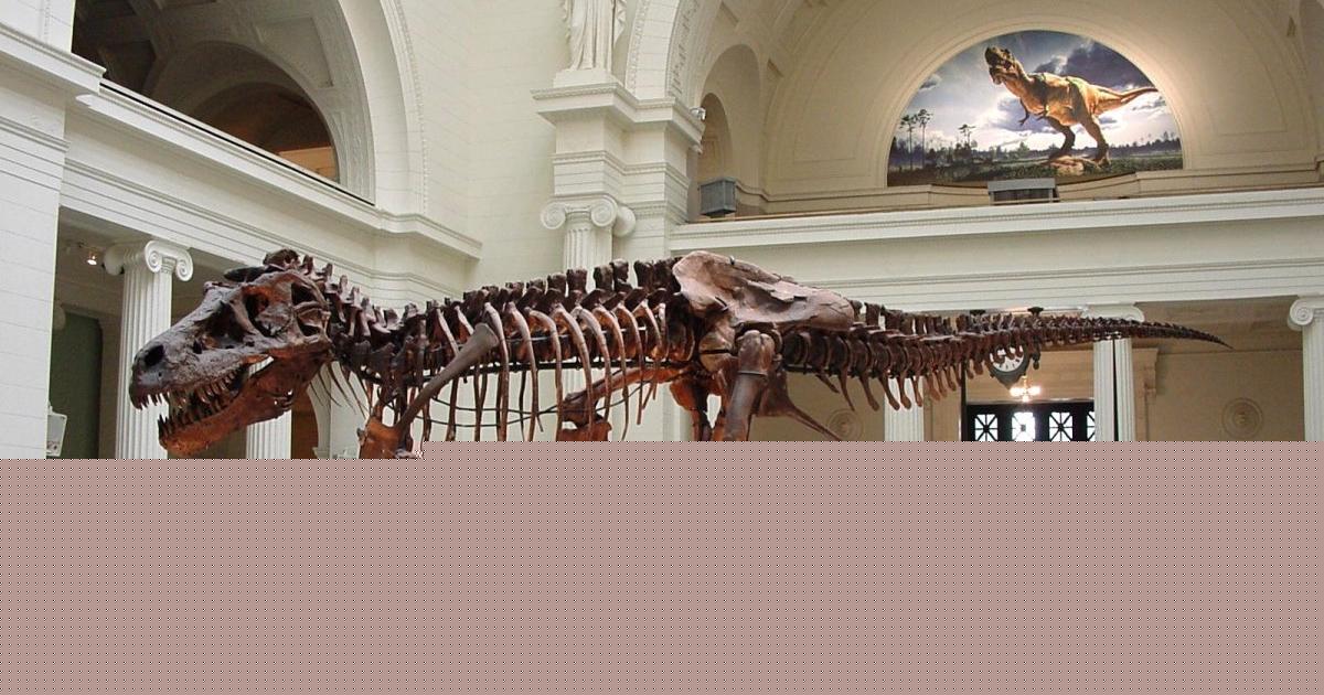 Host ve studiu: Kostra Tyrannosaura rexe prodána za miliardu do soukromých rukou. Věda přichází o důležité informace (audio)