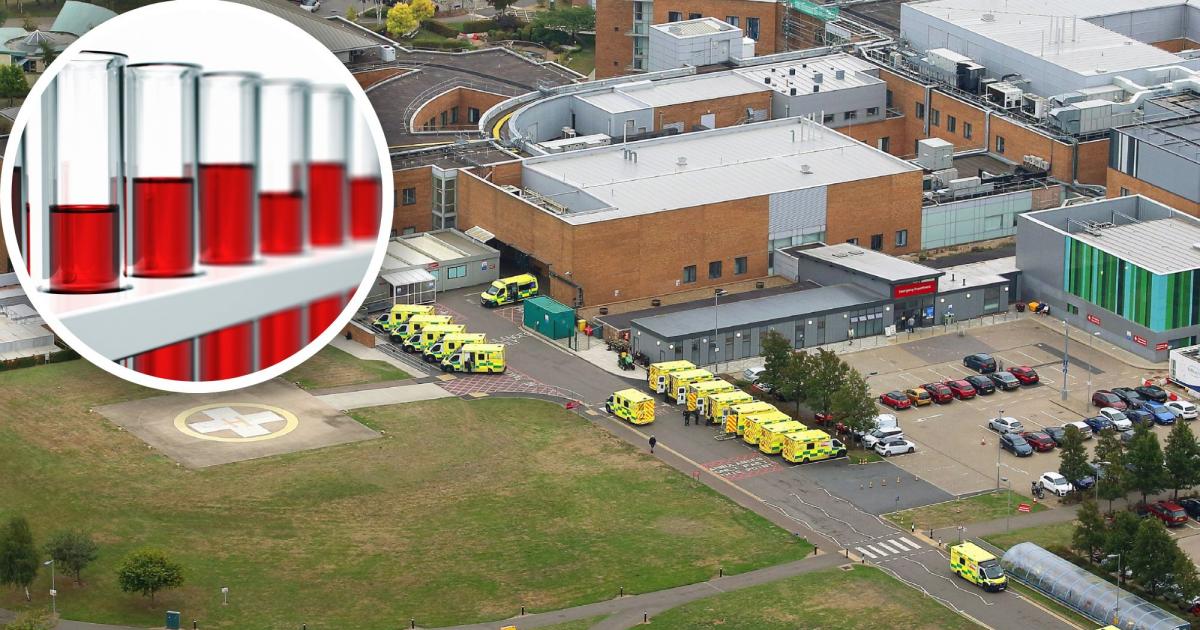 How a Norfolk hospital's IT glitch can help £88m project