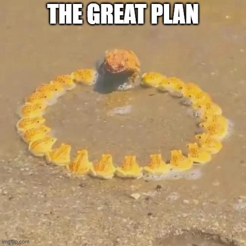 Warhammer 40,000 - The Great Plan | /r/grimdank