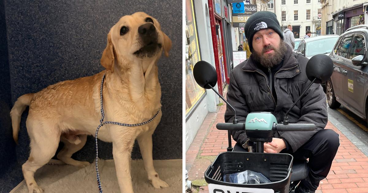 Man describes the 'scary' scenes after lone dog found barking at the sea