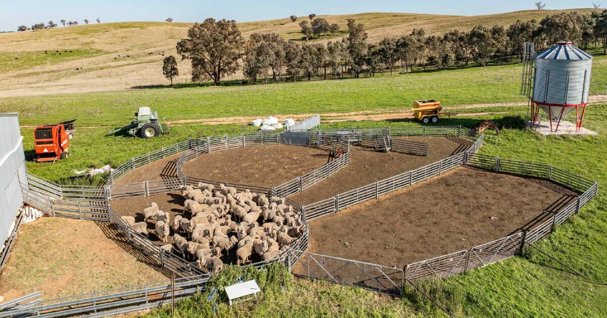 Excellent farming, grazing country in famed Greenthorpe district | Video