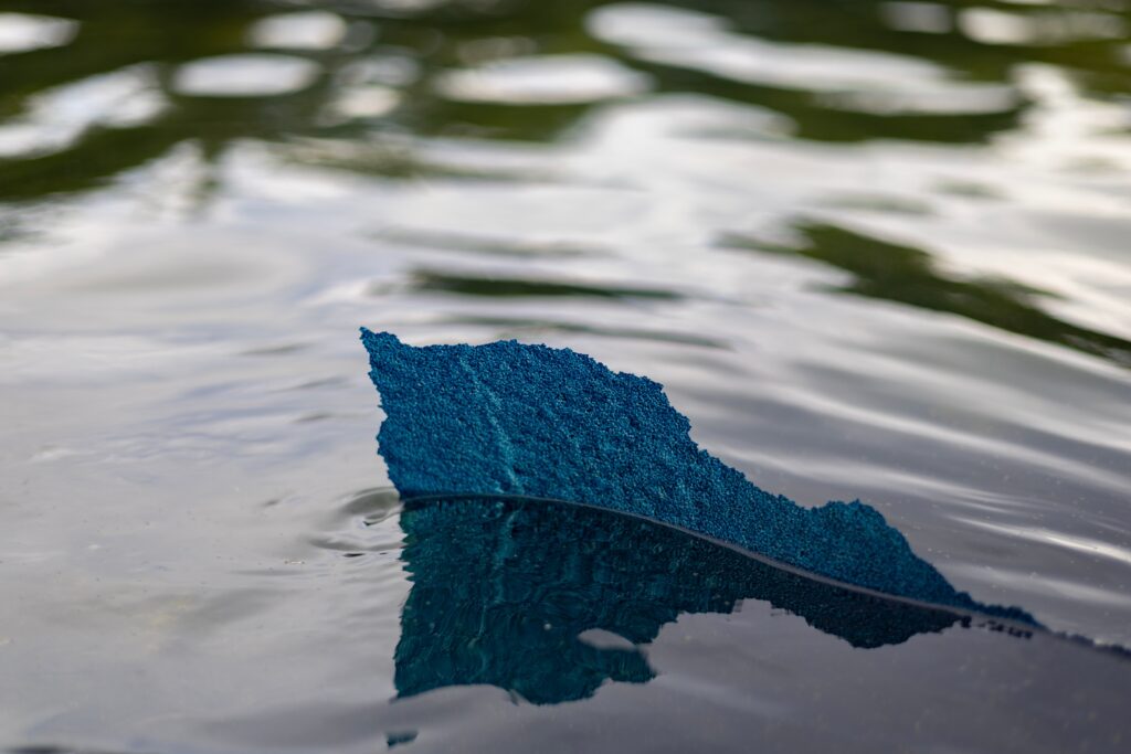 The absurdity of the Reflecting Pool prosecutions