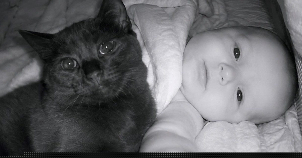 Couple catches their cat climbing into the baby's crib on the baby monitor every night, and they quickly realize that the rescued cat is not only theirs, she's the baby's too: 'She was like a tiny babysitter, taking over a shift'