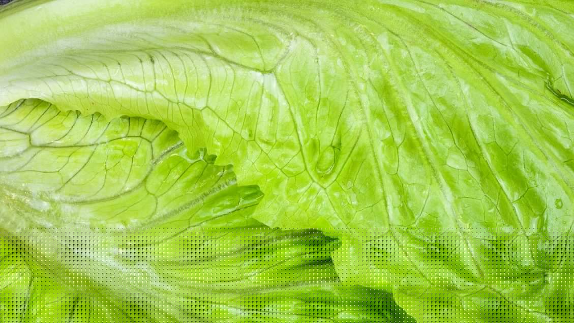 Cyclospora Outbreak Expands to 9 States
