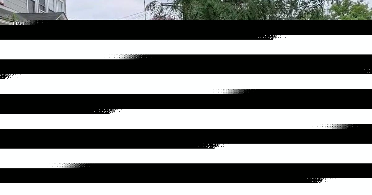 A New Jersey police officer disguised himself as a bush. It led to 74 distracted-driving tickets