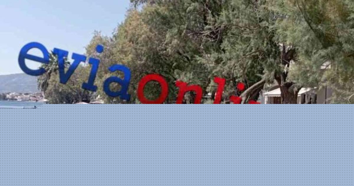 Εύβοια: Από θαύμα σώθηκε οικογένεια - Έπεσε μεγάλο τμήμα δέντρου σε πολυσύχναστη παραλία (Photos)