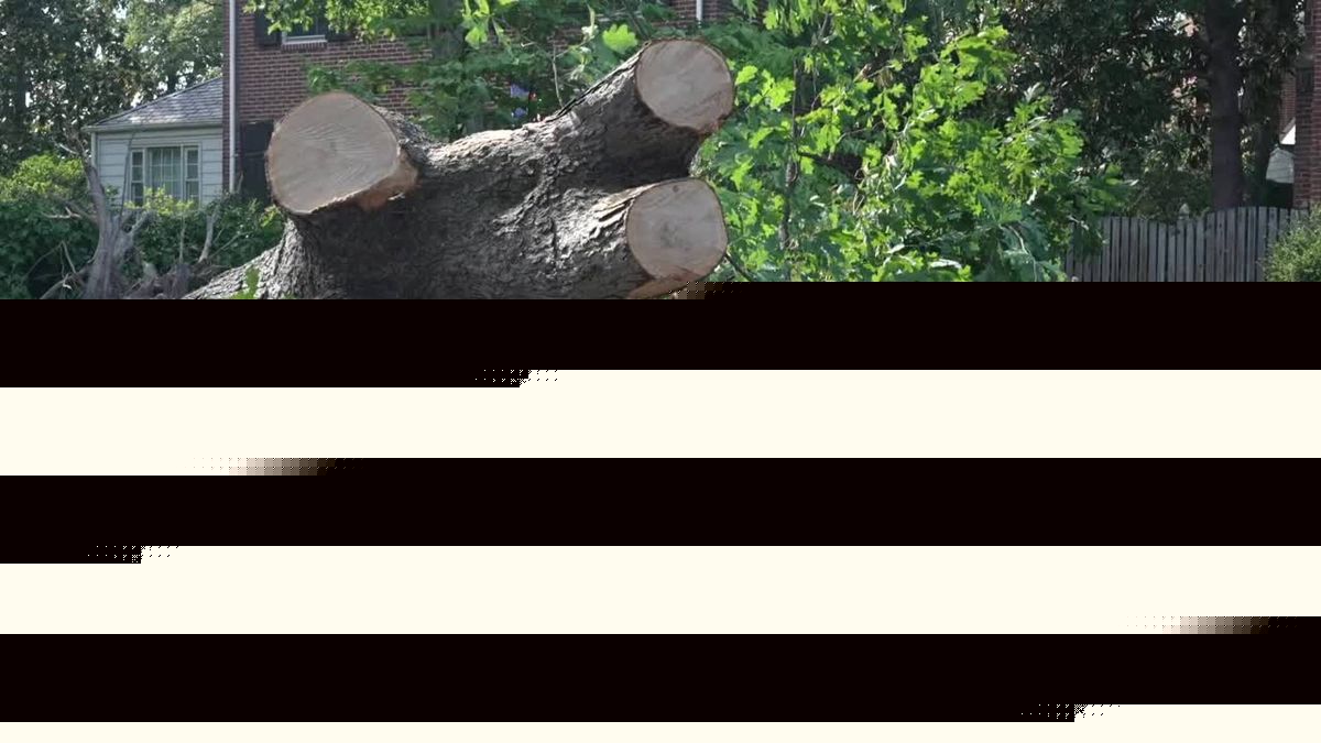 Henrico crews work to clear storm debris days after Friday night storm damages cars, homes