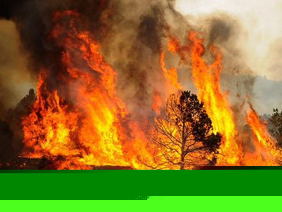 Here's How to Track Active Wildfires in Montana this Summer