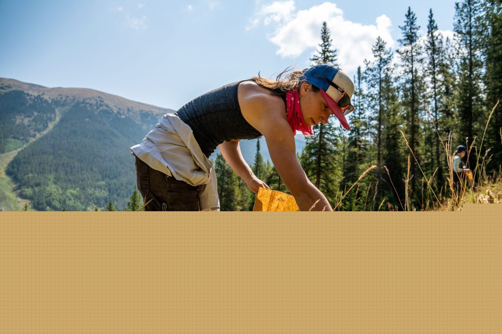 Middle Park graduate aims to grow native plants on ski trails