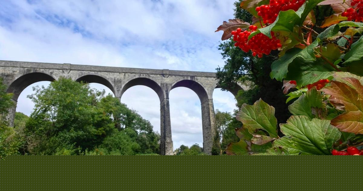 The latest pictures from the Vale of Glamorgan Camera Club