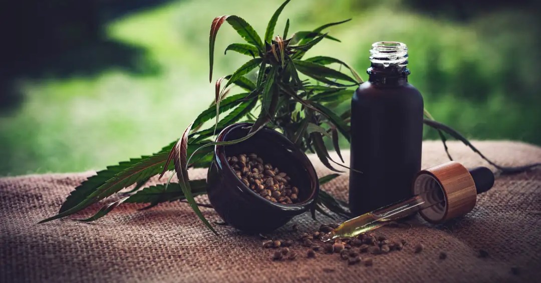 Veja o que muda com aprovação da Anvisa para produção de cannabis medicinal