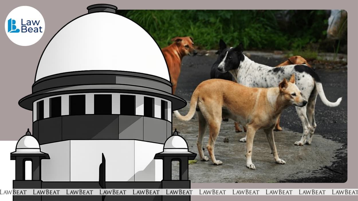 Goa, Kerala tourism affected due to stray dogs: Supreme Court