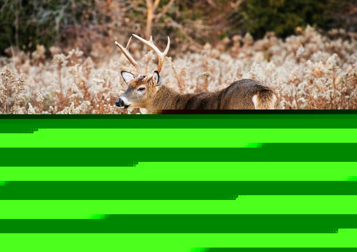 Iowa DNR 2026-2027 Hunting Changes: New Zones and Rules