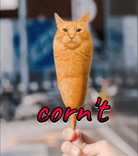 Corn Dog Cat - Corn't