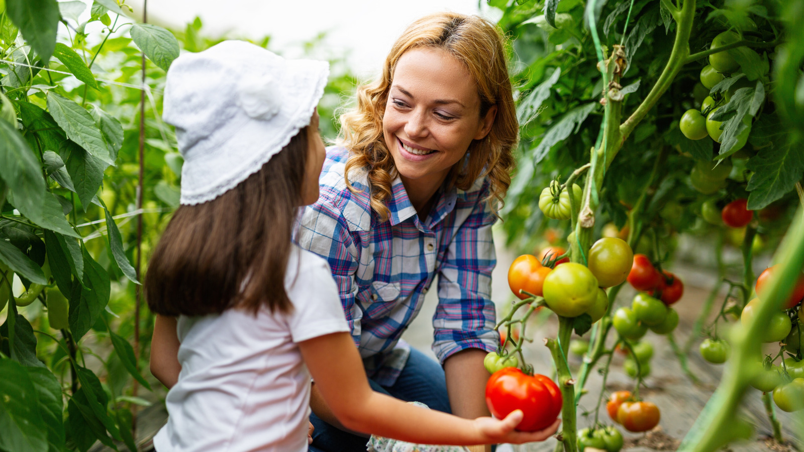 Enjoy Produce Sooner: The Household Waste Item You Can Use To Ripen It Faster