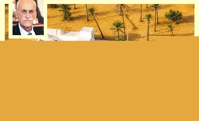 Mohamed-El Aziz Ben Achour - Djerba: survol historique