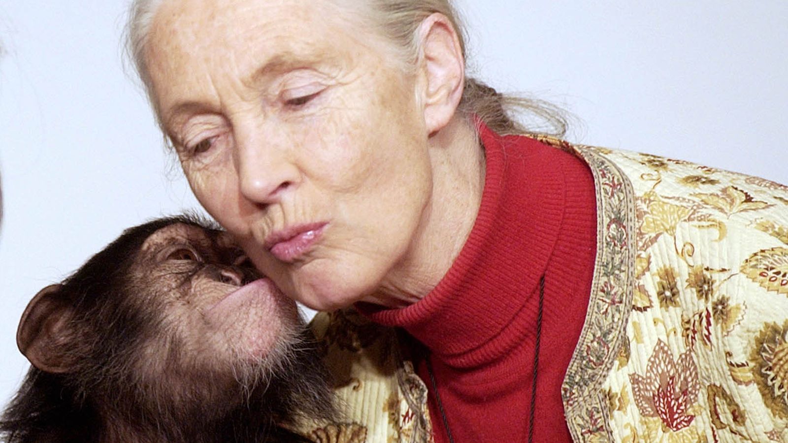 Jane Goodall, famous for her study of chimpanzees, has died