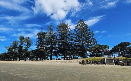 Community group renews call for seawall option