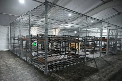 Florida’s ‘Alligator Alcatraz’ detention facility to be empty ‘within a few days’