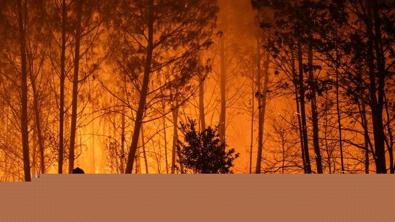 EU agency warns that 'all of Europe' could be on fire soon