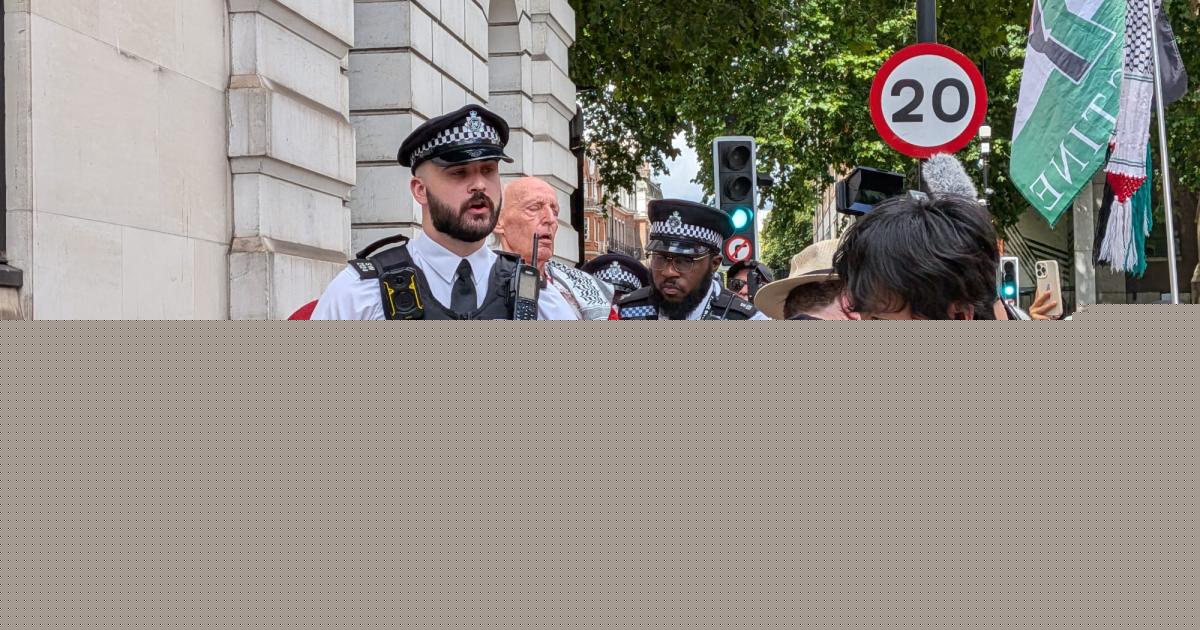 Busy road 'heaving' with police as Palestine protest takes place despite Met warnings