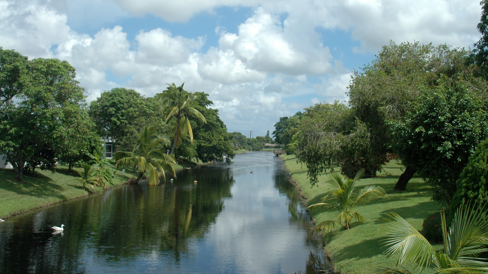 Between Fort Lauderdale And Coral Springs Is Florida's Underrated City With Parks And Family-Friendly Outings
