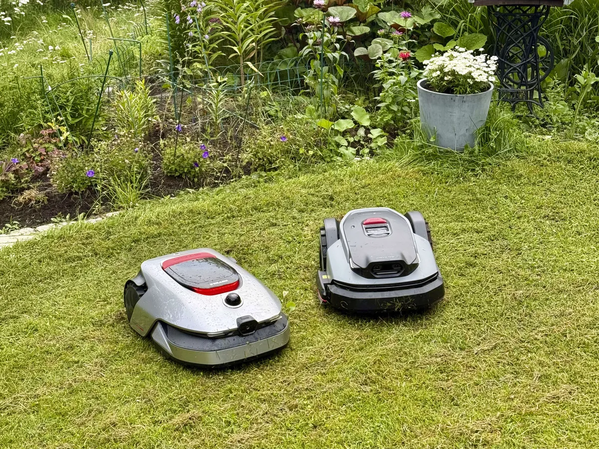 Vertailimme suositut robottiruohonleikkurit – Törmäävät samaan ongelmaan, mutta kannattaako sellainen ostaa?