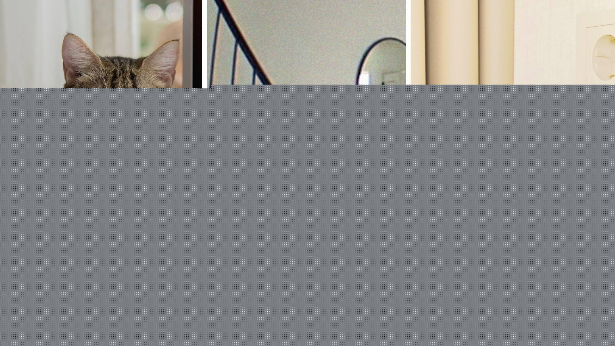 Woman Checks Her Home Security Camera. Uh, Did She Catch Her Cat Speaking English?: ‘Mom, Where Are You?’