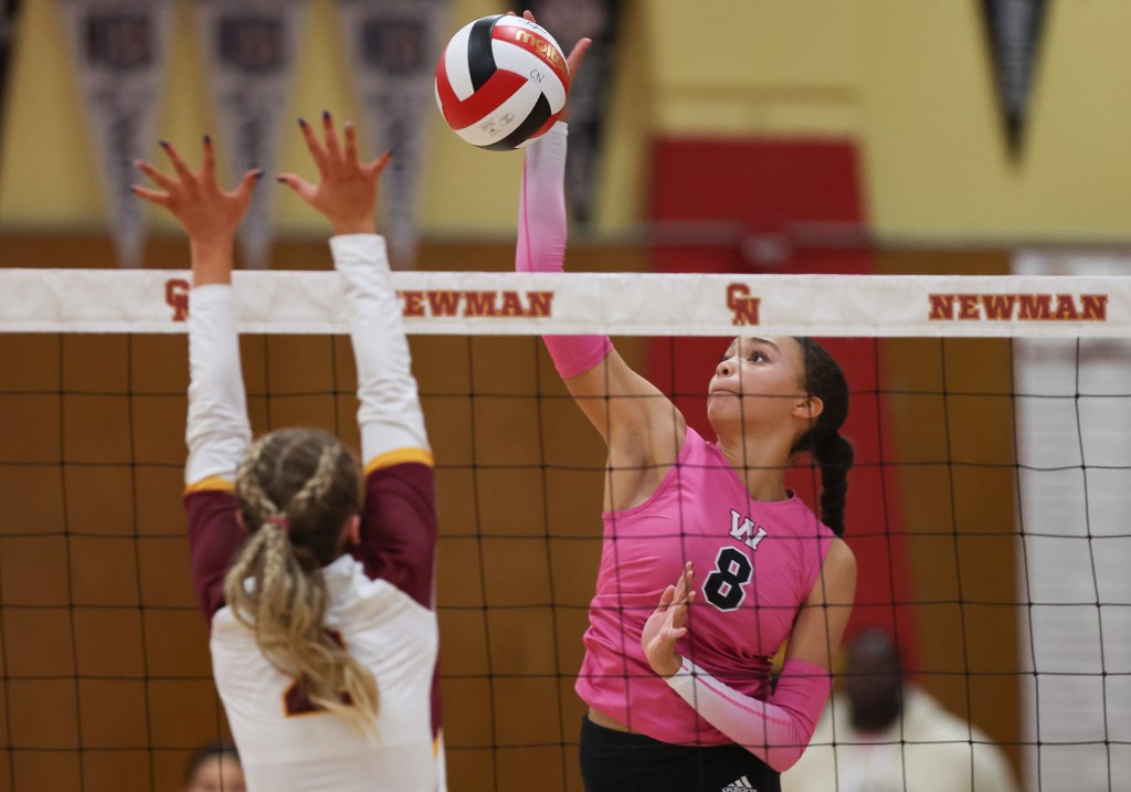 Volleyball: Windsor defeats Cardinal Newman in battle of North Bay heavyweights