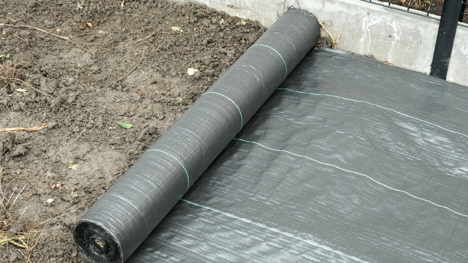 The One Place In Your Yard You Shouldn't Ditch Landscape Fabric