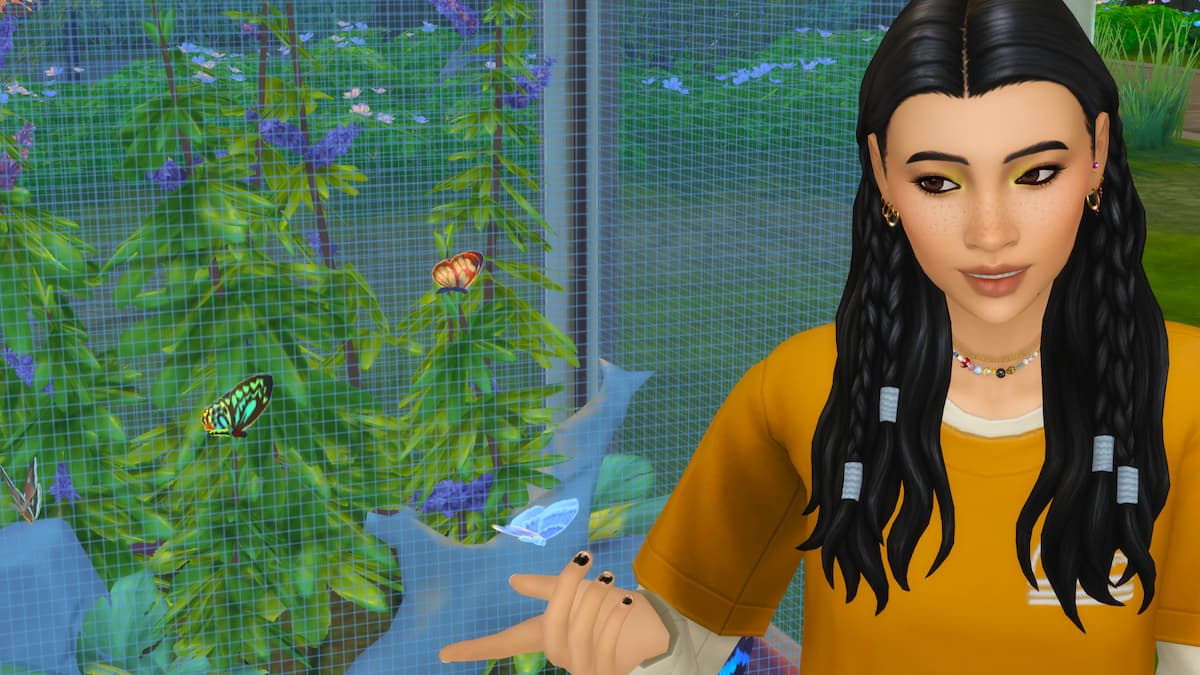 All Gibbi Point Butterflies and Moths in The Sims 4 Adventure Awaits and where to find them