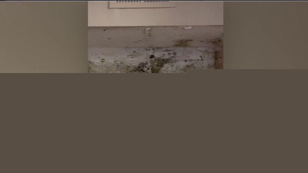 Atlanta tenants plead for help as raw sewage overflows in homes