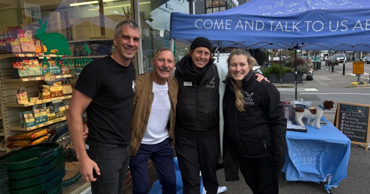 Raystede’s pet advice team help owners with big questions and small worries