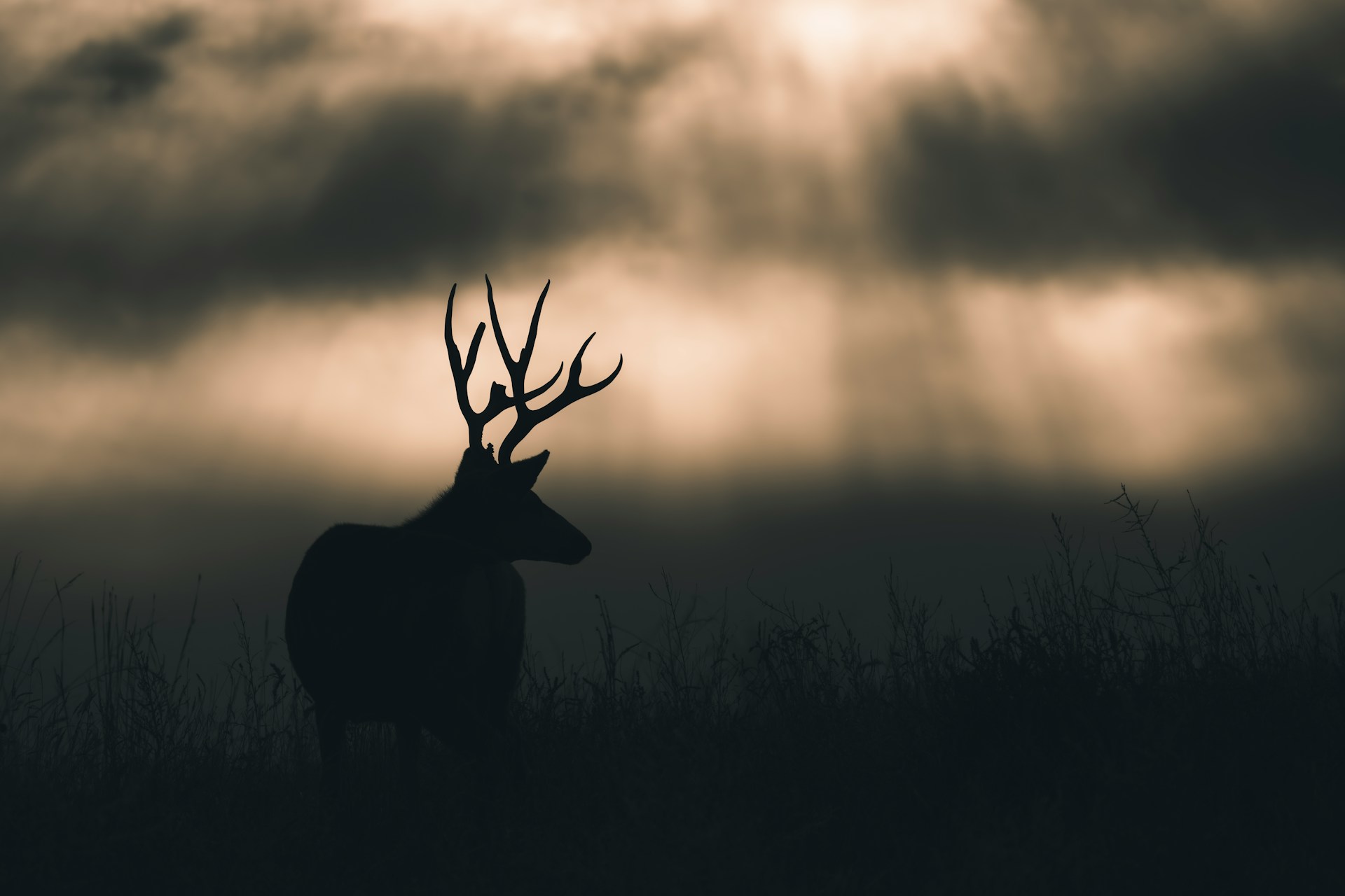 Want To Use Sunlight Creatively In Your Photography – Check Out These Resources