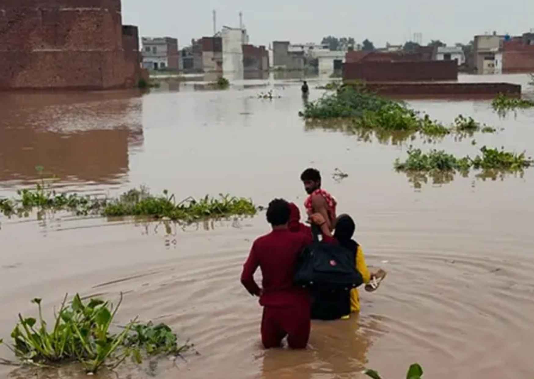 Fresh Monsoon Spell Brings Rain Across Punjab