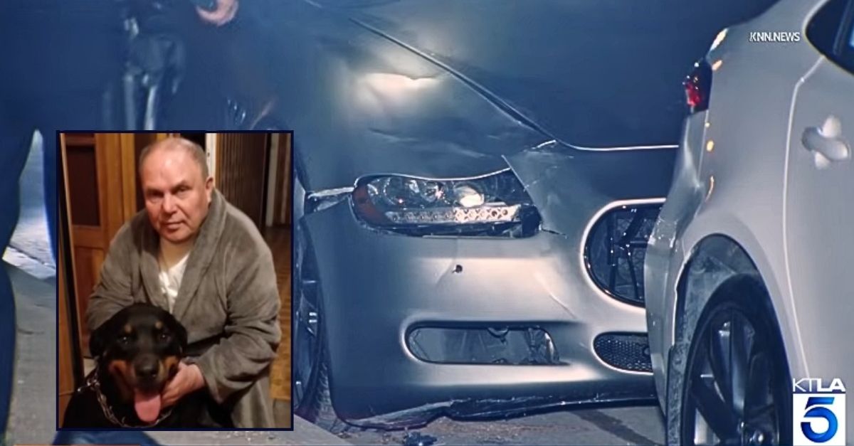 Maserati driver mowed down 80-year-old Holocaust survivor crossing street with service dog and killed them both, cops say
