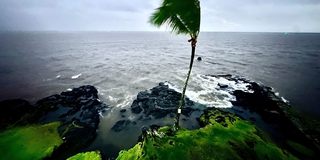 Invest 93C designated in Central Pacific with eyes on Hawaii as warm water fuels development chances
