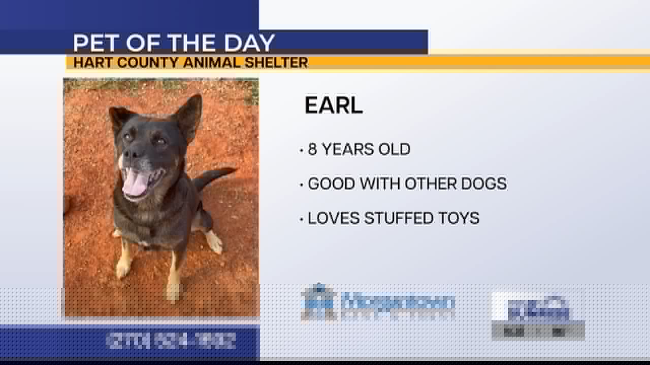 Pet of the Day: