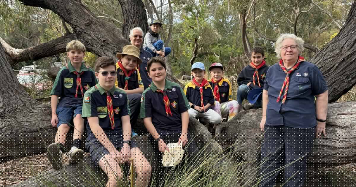 Hens and halls: Decades of local history to be celebrated by shire Scouts