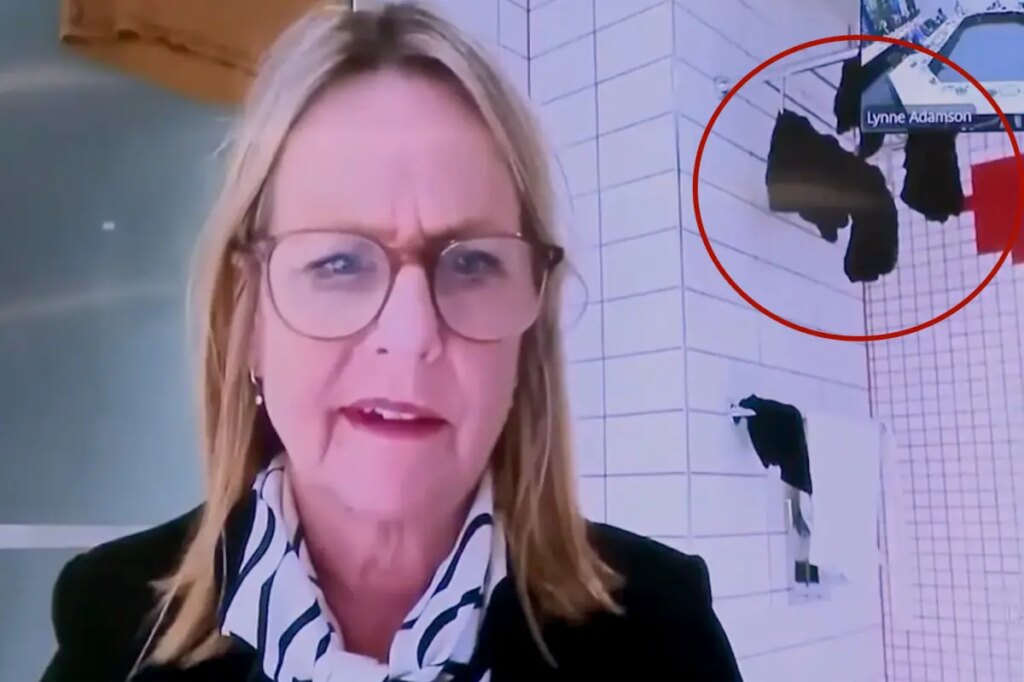 New Zealand politician caught joining city council meeting from bathroom with underwear drying