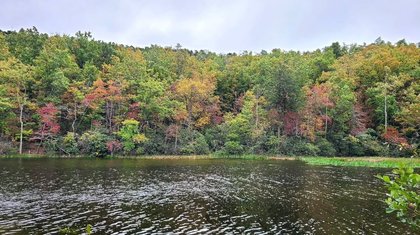 North Carolina's Gateway To Hanging Rock State Park Is A Friendly Town With Artsy Vibes