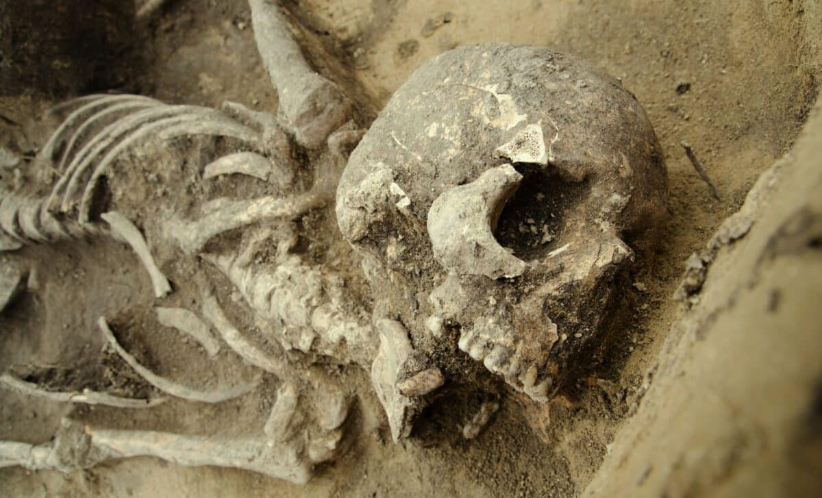 Over 4,400 Human Brains Were Found Perfectly Preserved in Skeletons, Now Scientists Know Why
