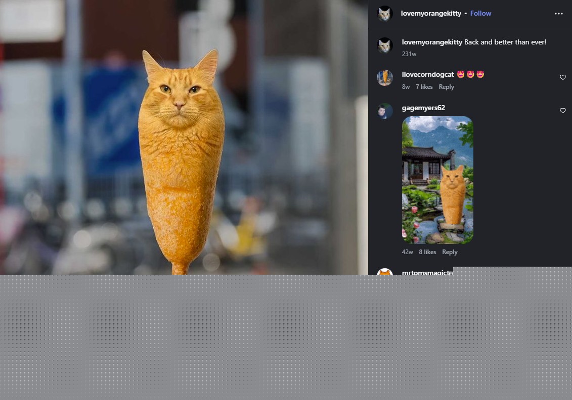 Corn Dog Cat - Original Corndog Cat Post