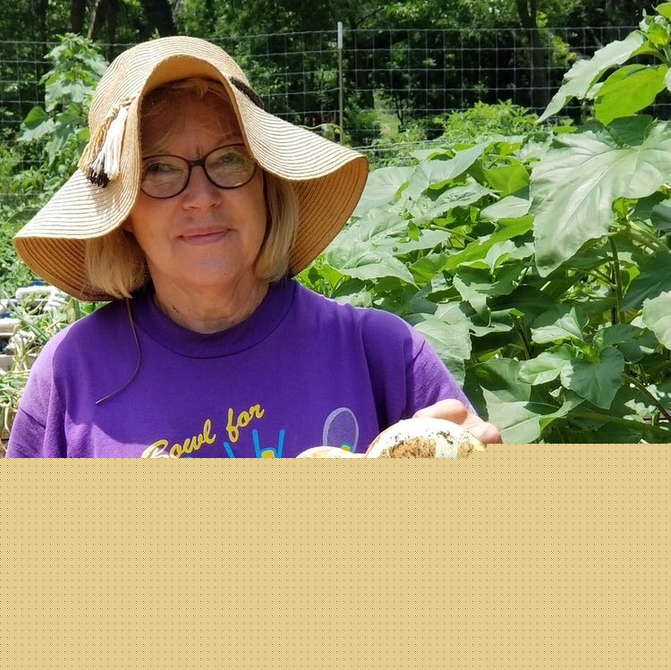Brownwood Community Garden Report for July 2026