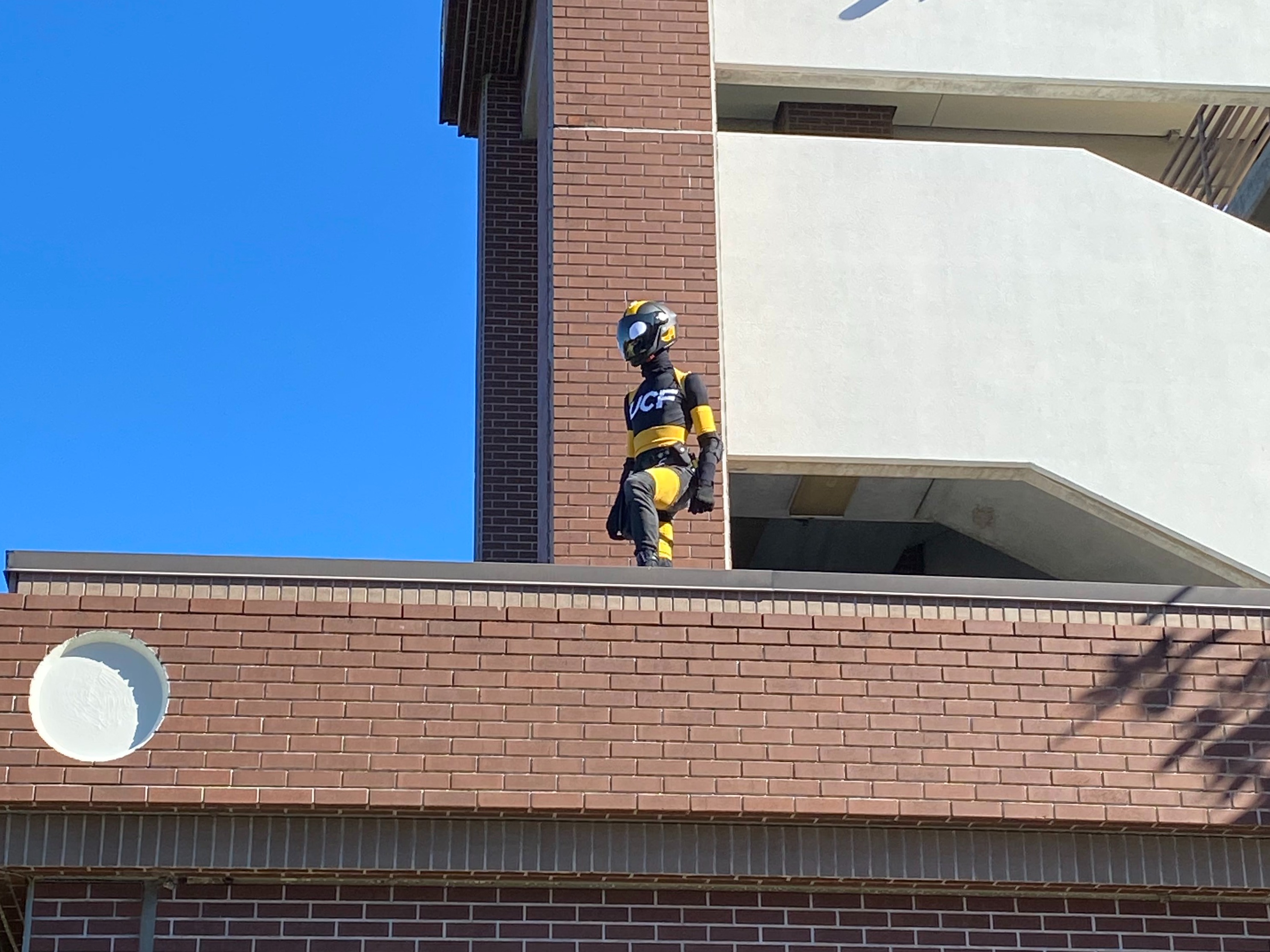 The Bright Side of Black and Gold: Knightly’s Mission