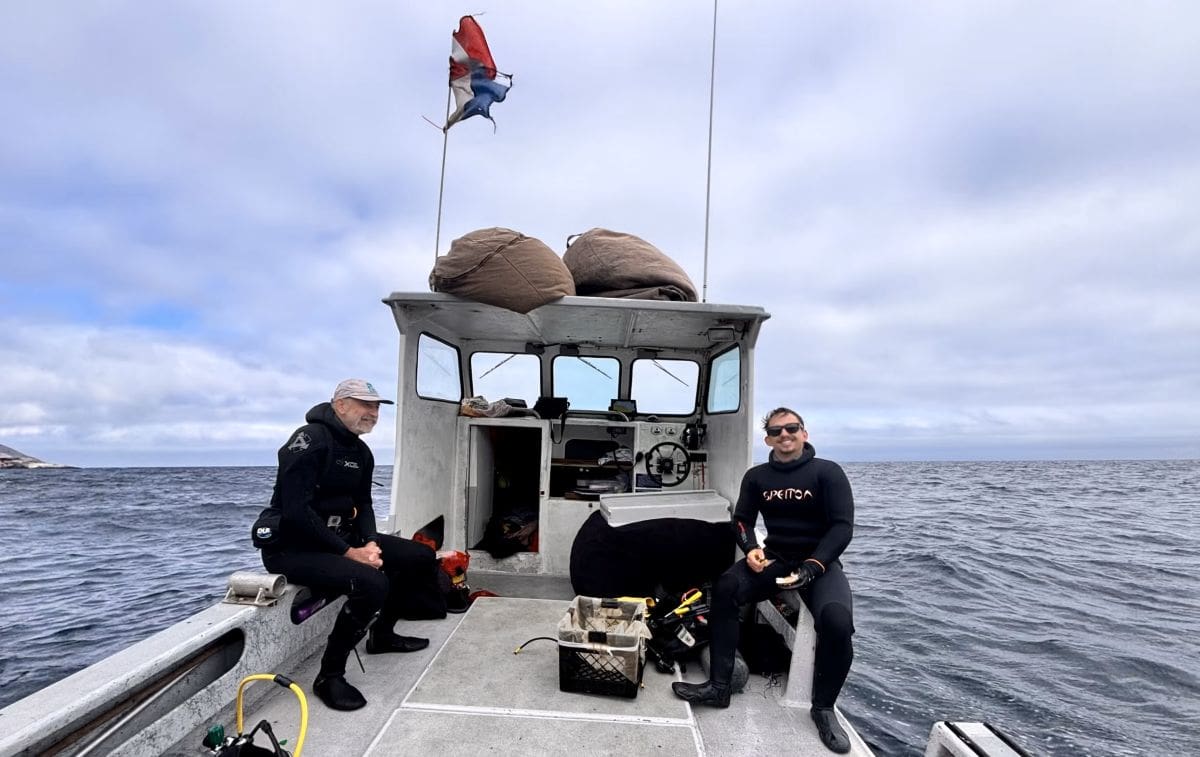 Bioblitz Reveals Hidden Biodiversity In The Santa Barbara Channel